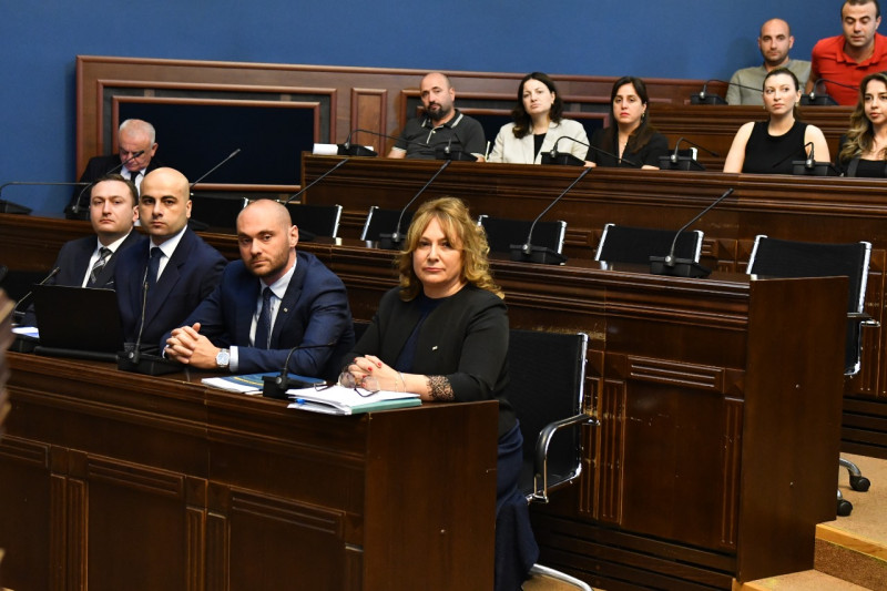 პერსონალურ მონაცემთა დაცვის სამსახურის უფროსმა ლელა ჯანაშვილმა პარლამენტს  2024 წლის საქმიანობის ანგარიში წარუდგინა